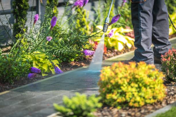 Best Animal Enclosure Cleaning  in Huber Ridge, OH